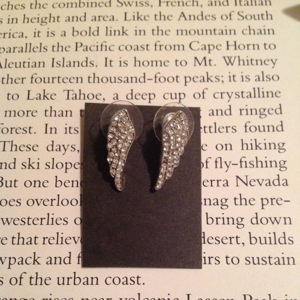 Cute Angel Wing Earrings From Tilly’s